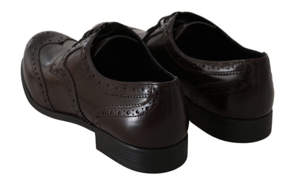 Dolce & Gabbana Elegant Brown Leather Oxford Flats Dolce & Gabbana